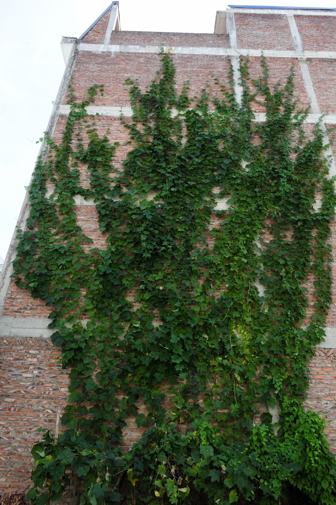 Khu do thi nghin ty bo hoang anh 15