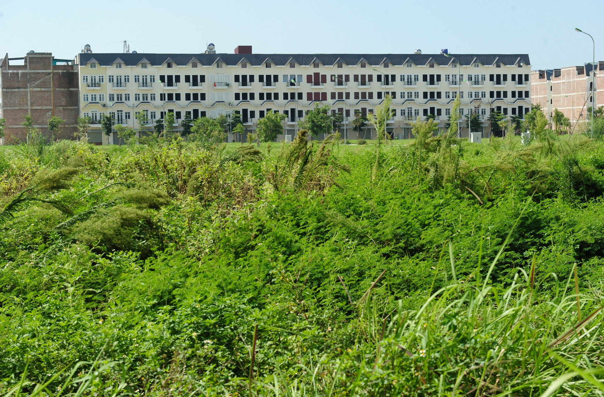 Khu do thi nghin ty bo hoang anh 6