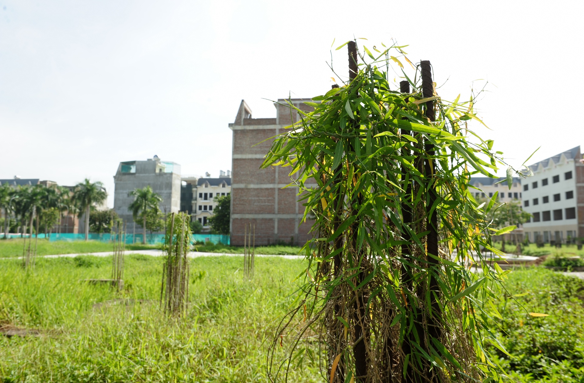 Khu do thi nghin ty bo hoang anh 7