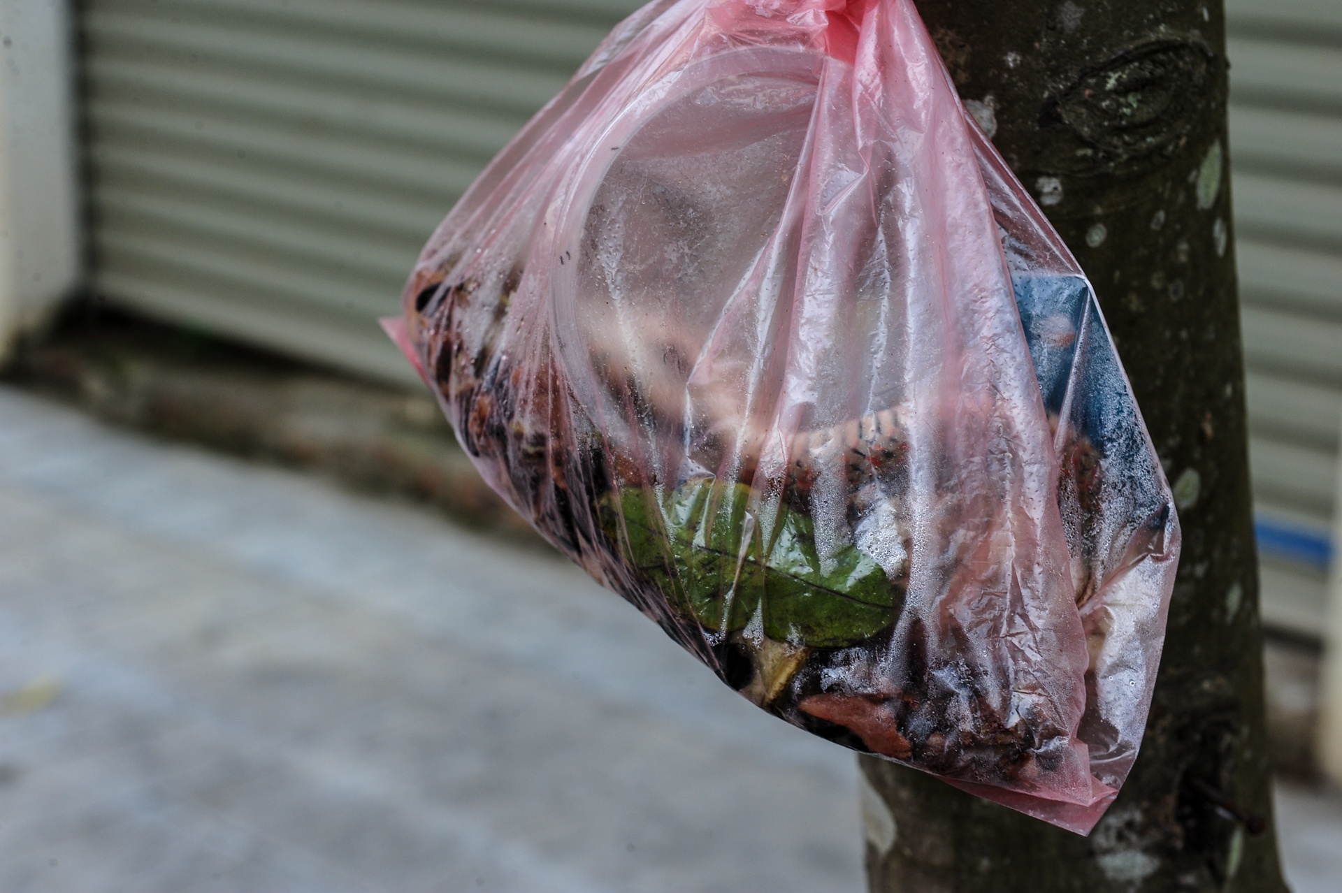 Khu do thi nghin ty bo hoang anh 8