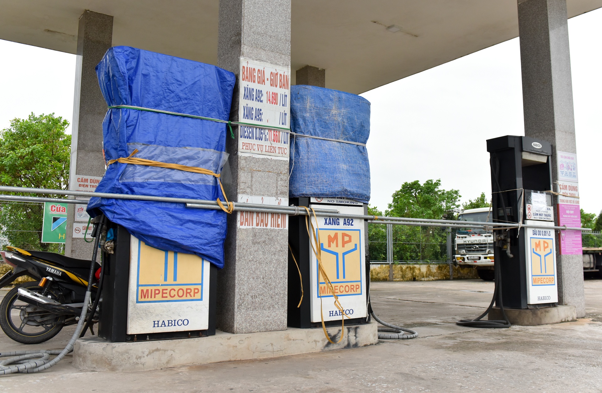 ung pho bao so 3 anh 10