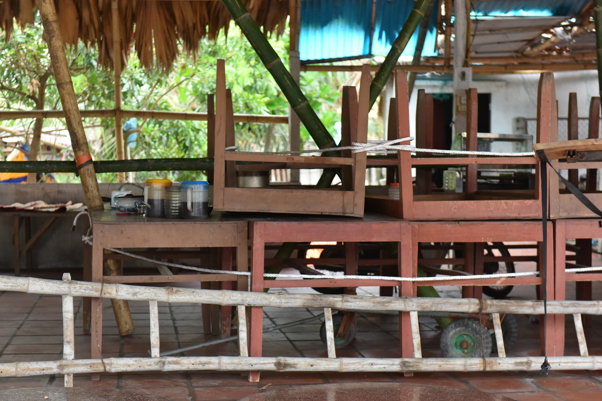 ung pho bao so 3 anh 2