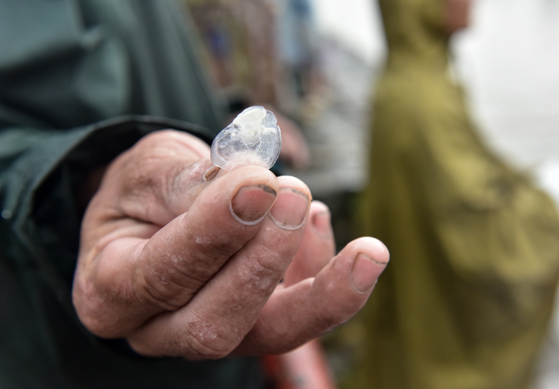 bat ca tren song To Lich anh 15