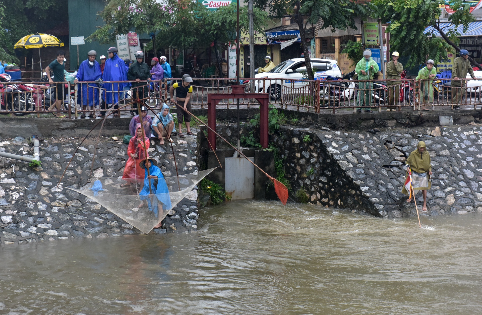 bat ca tren song To Lich anh 7