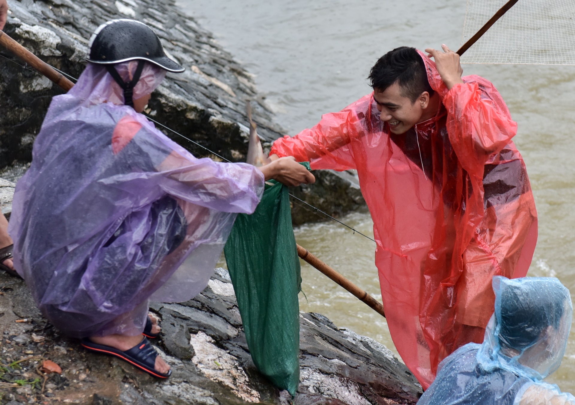 bat ca tren song To Lich anh 8