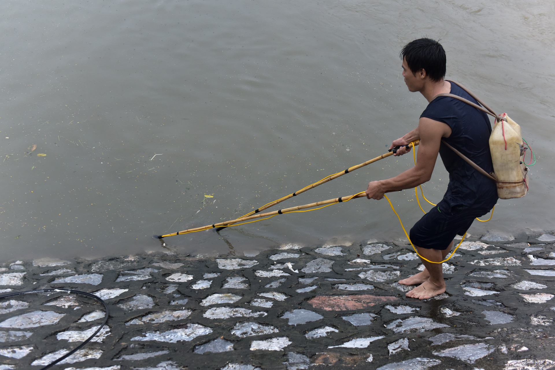 bat ca tren song To Lich anh 13