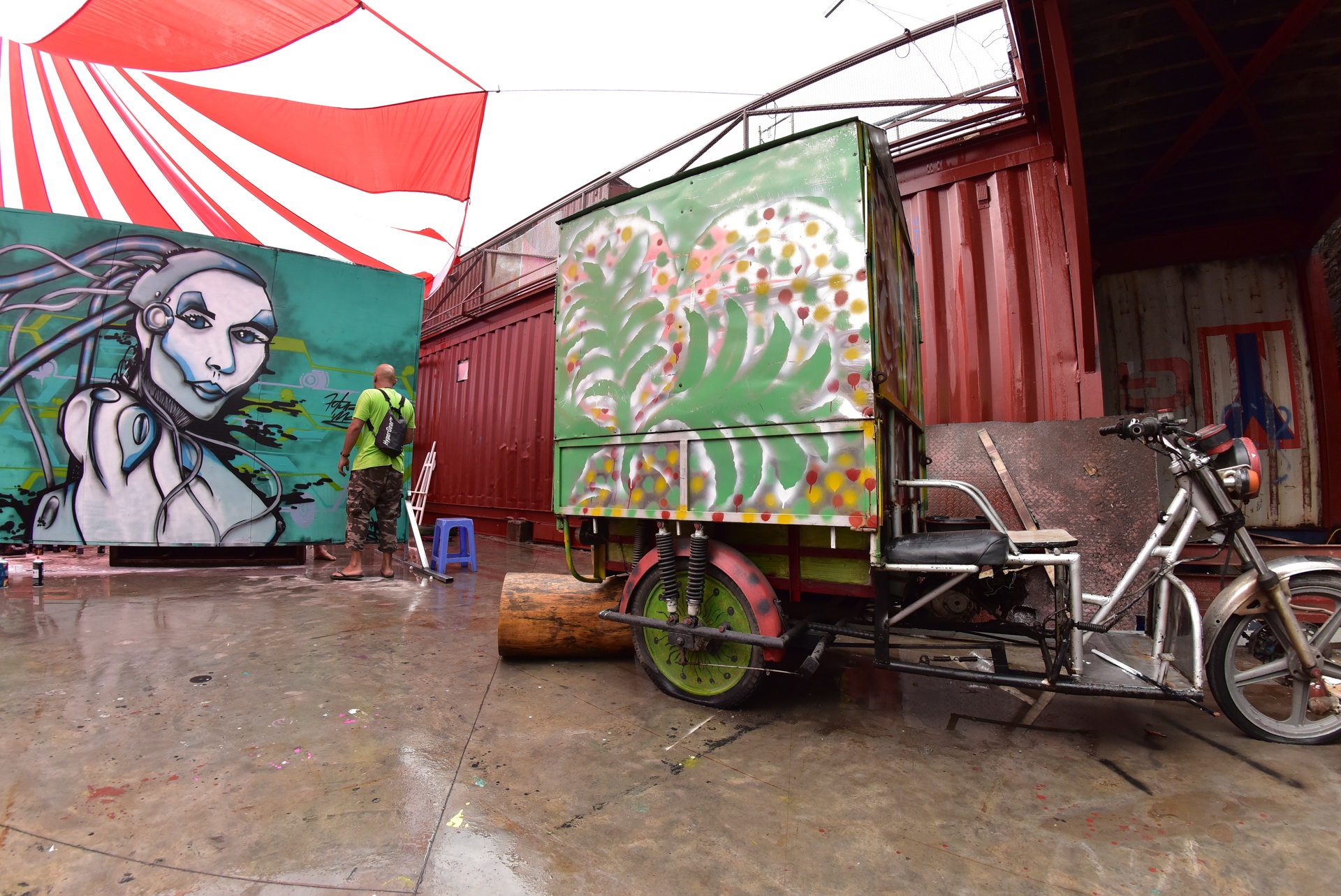 ve graffiti tren oto anh 9