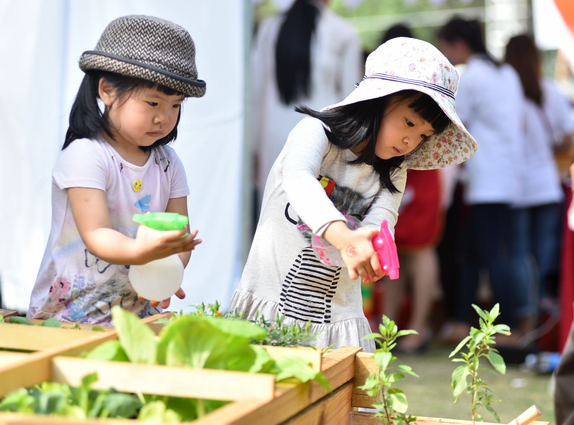 thi bang lai xe oto do choi anh 6