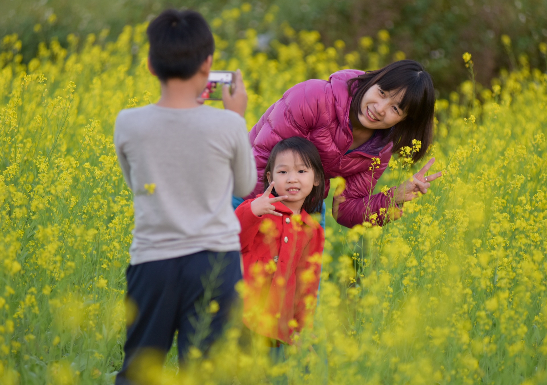 chup anh o canh dong hoa cai anh 9