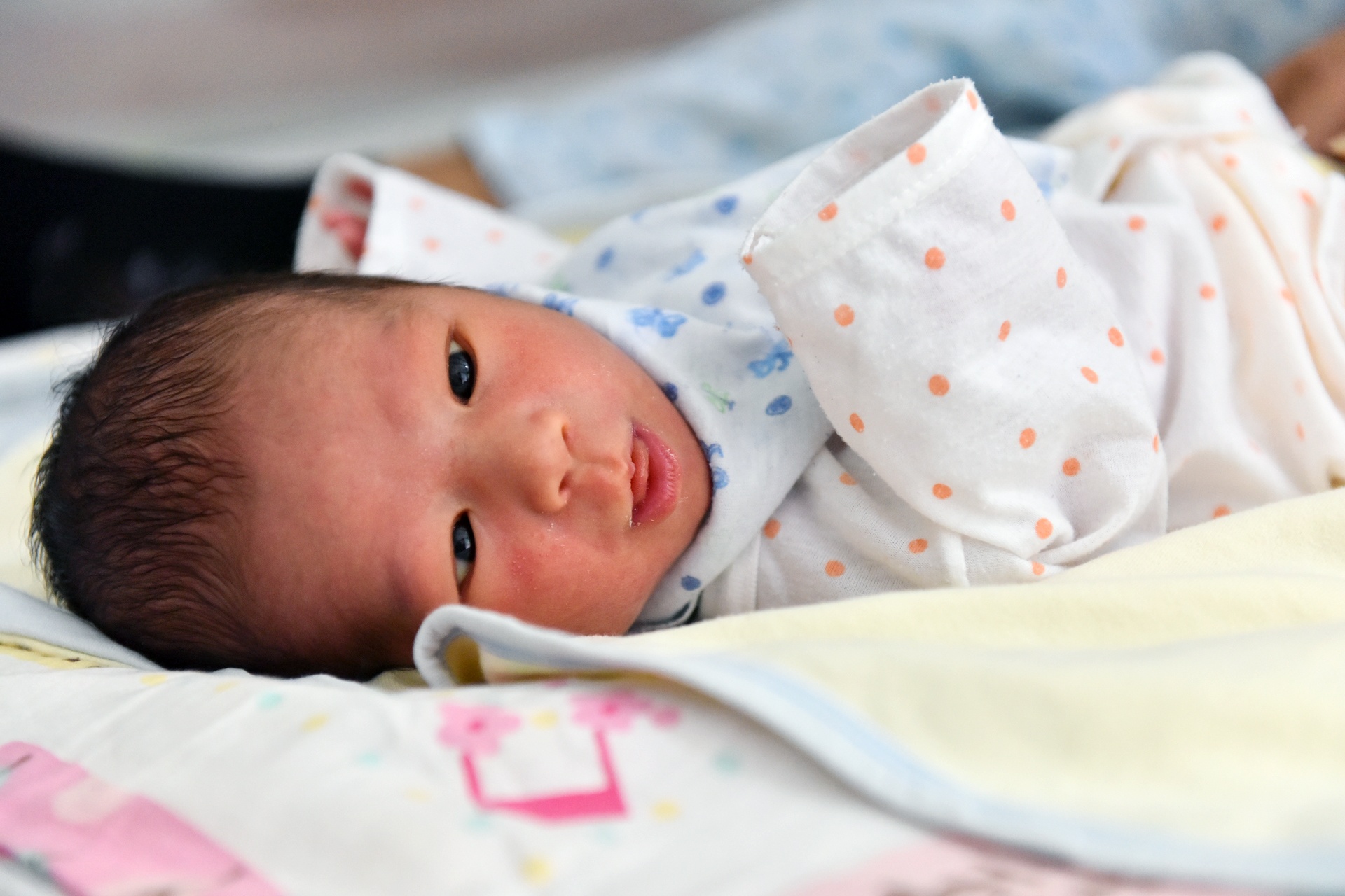 anh chong khoeo va co vo cam diec anh 5