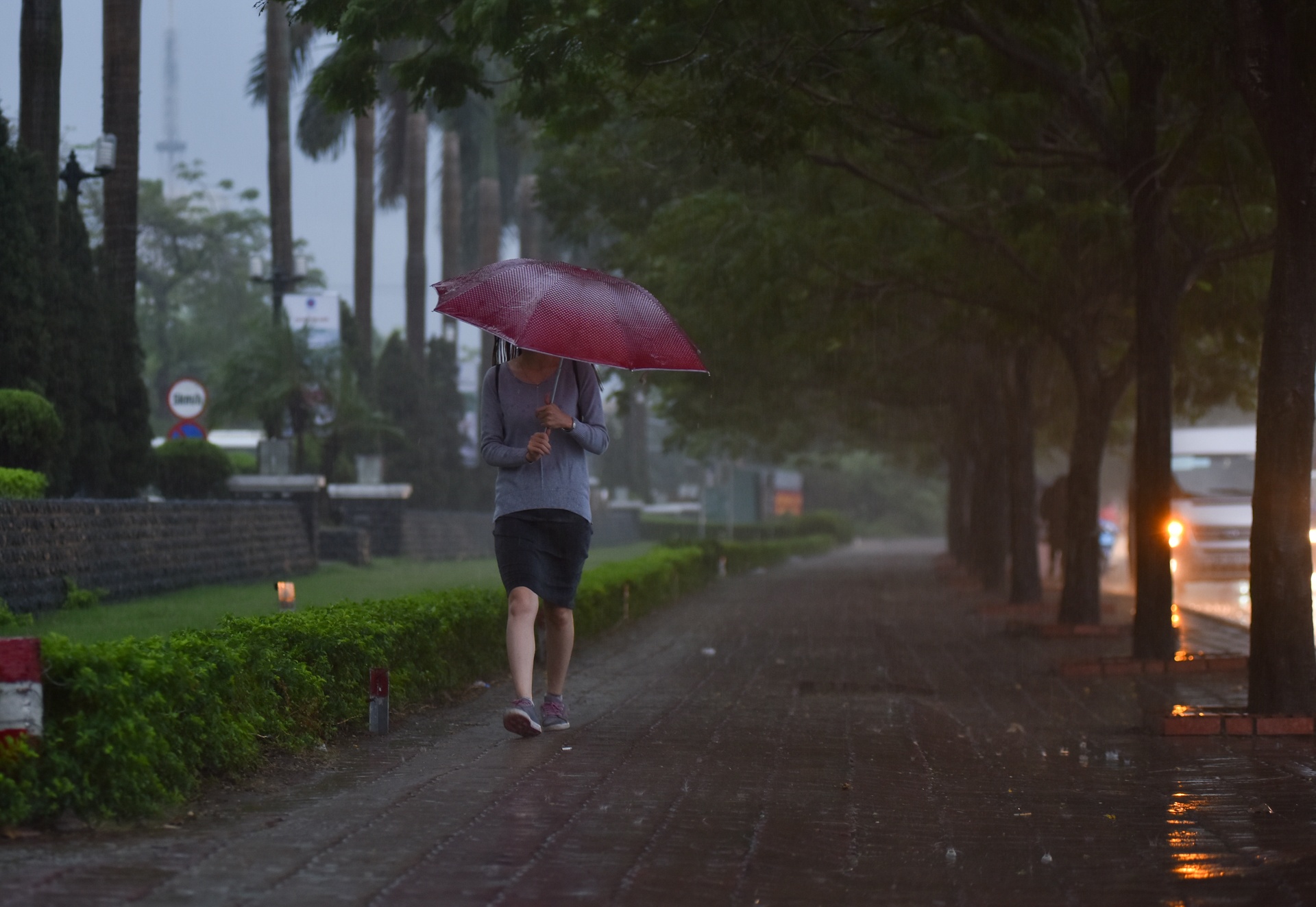 Troi Ha Noi toi den nhu muc anh 7