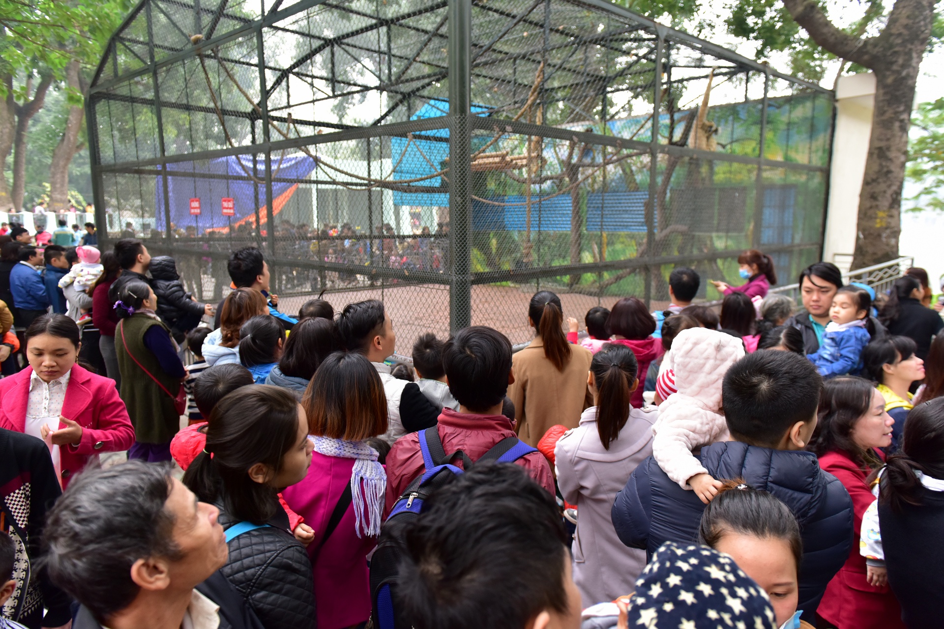 ngay dau nam moi anh 3