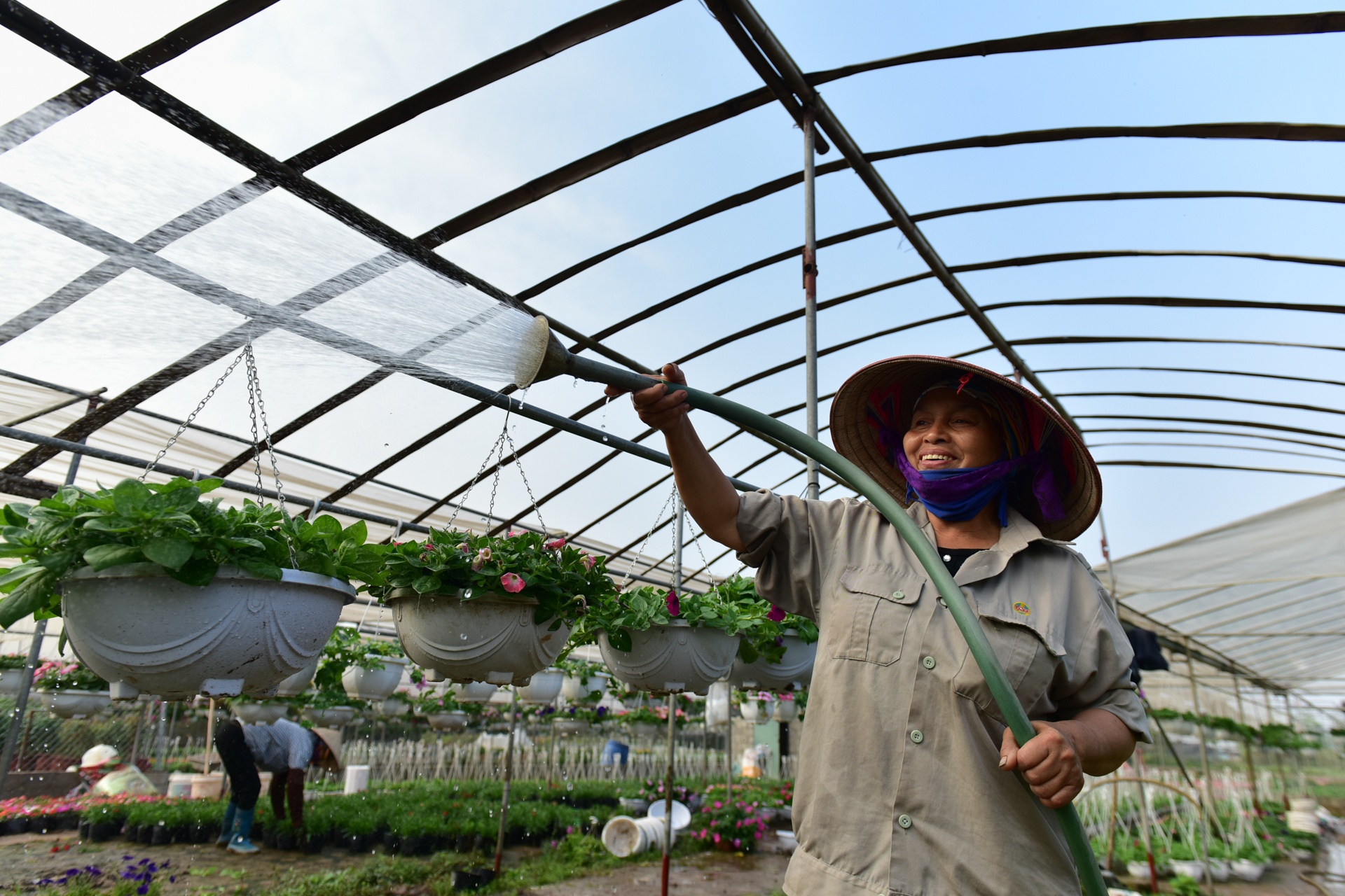 Lang hoa Xuan Quan anh 2