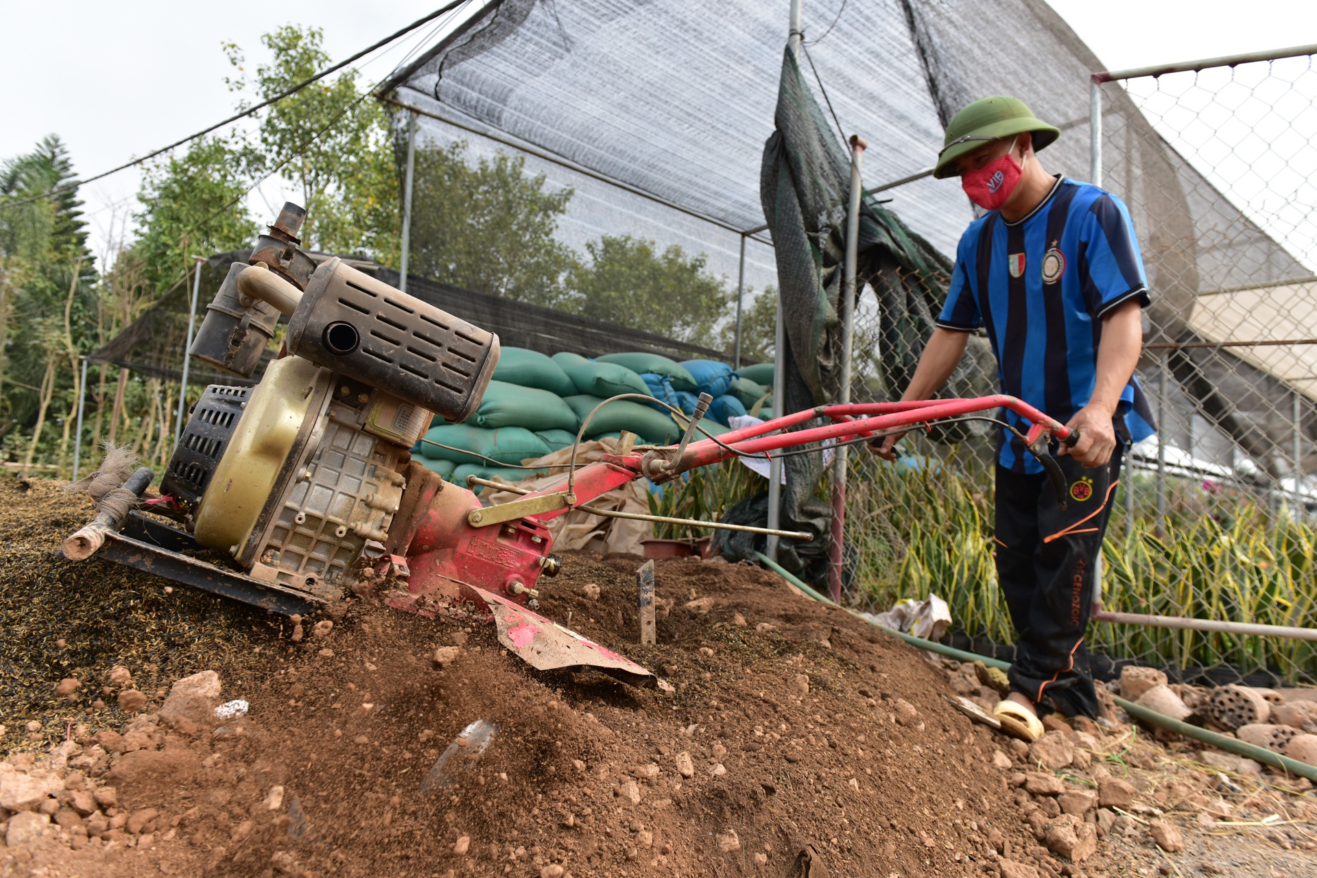 Lang hoa Xuan Quan anh 3