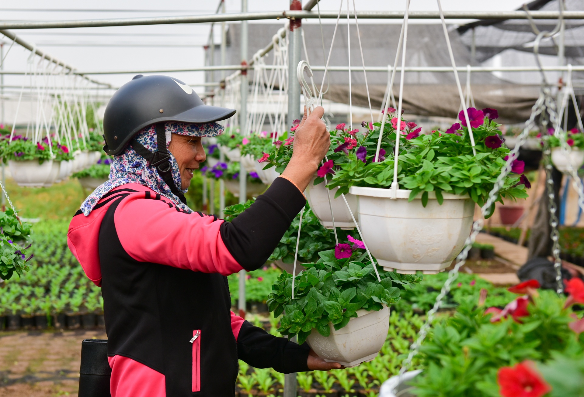 Lang hoa Xuan Quan anh 11