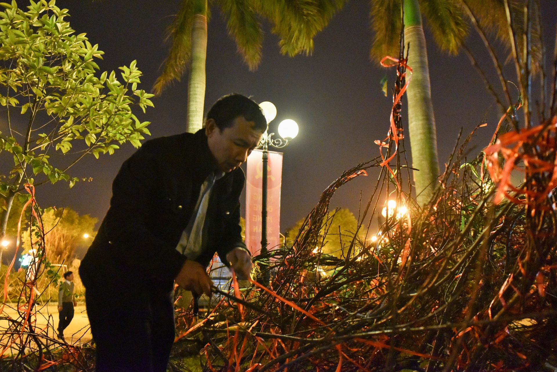 Trang dem trong dao anh 10