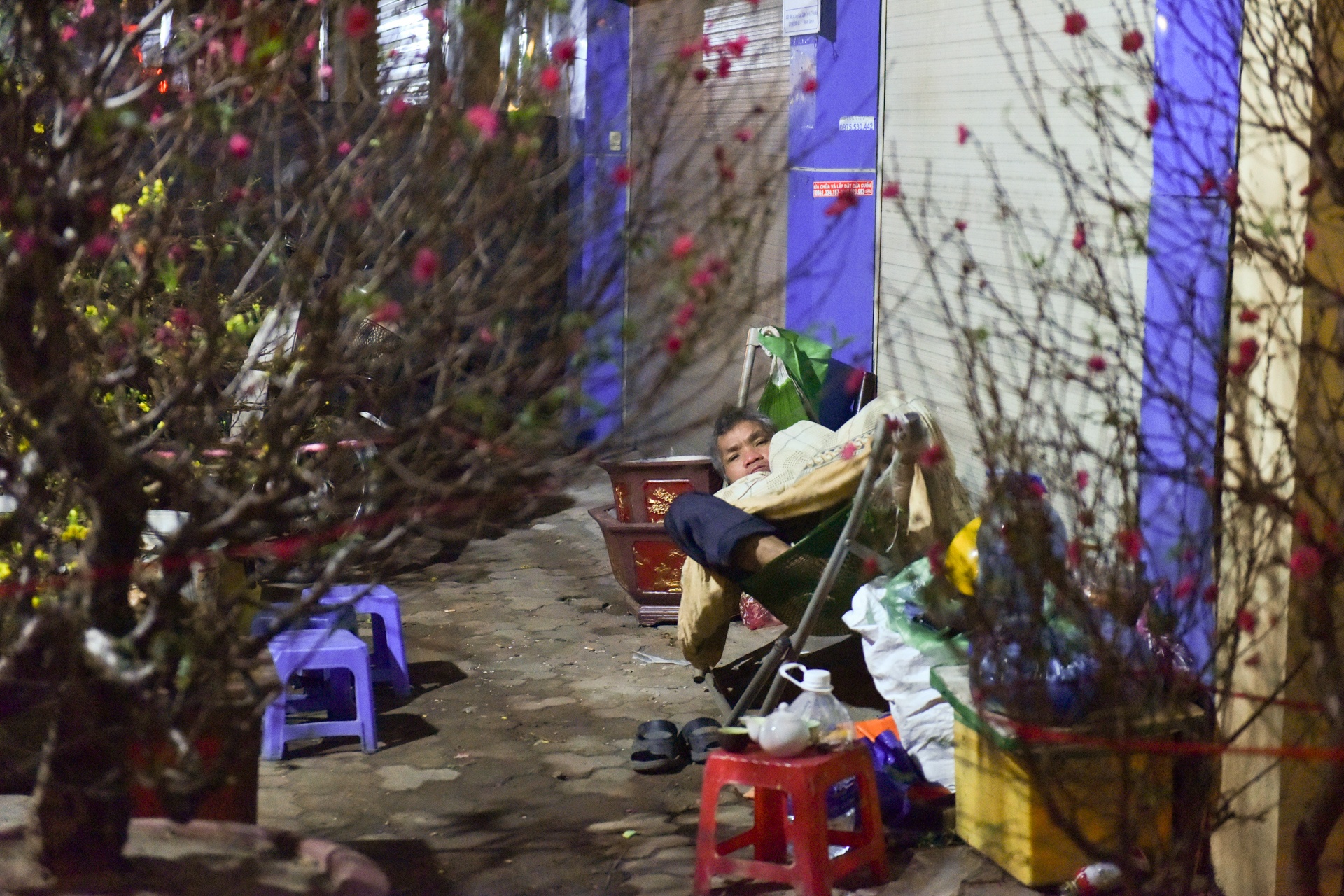 Trang dem trong dao anh 1