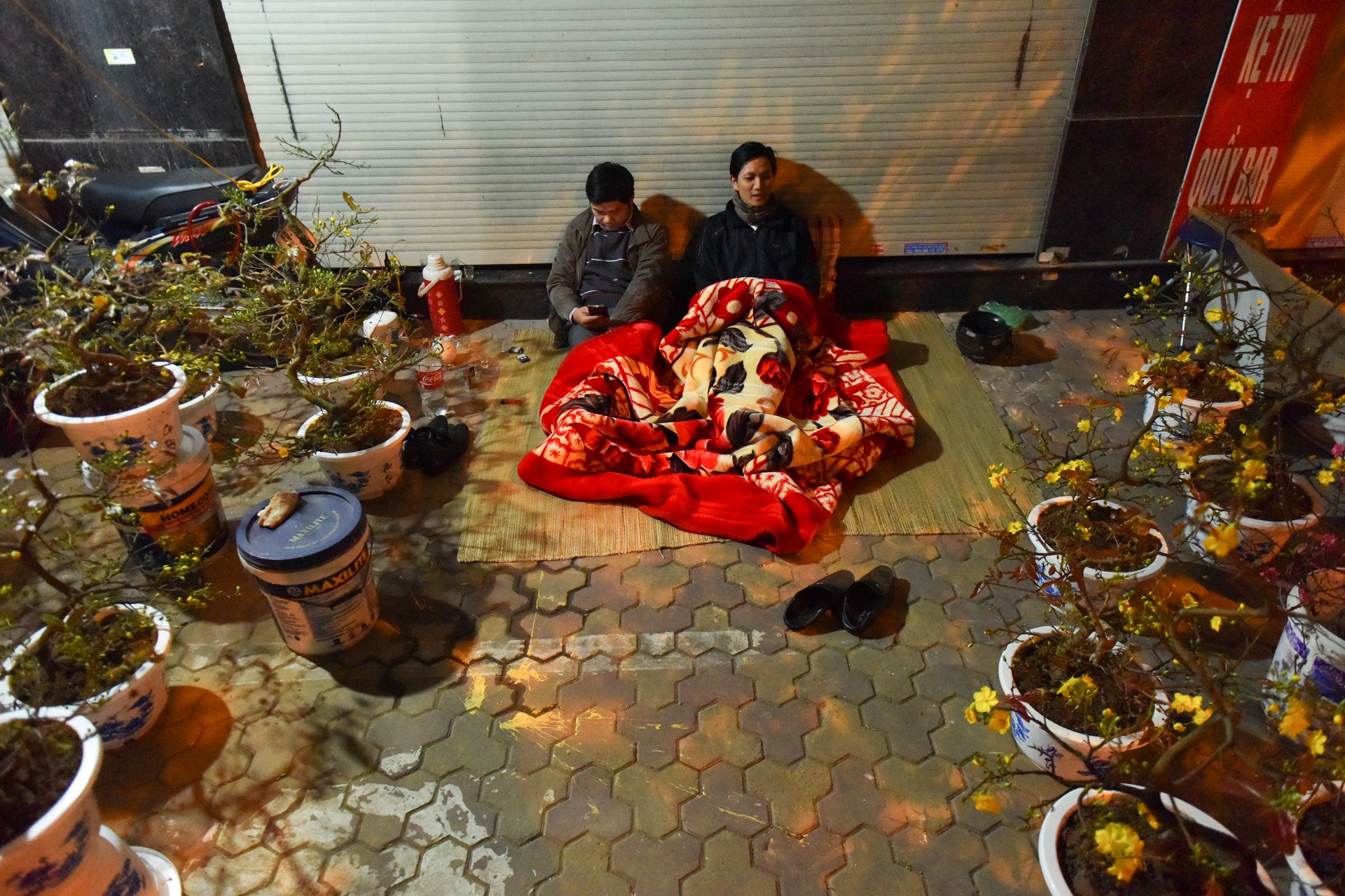 Trang dem trong dao anh 2