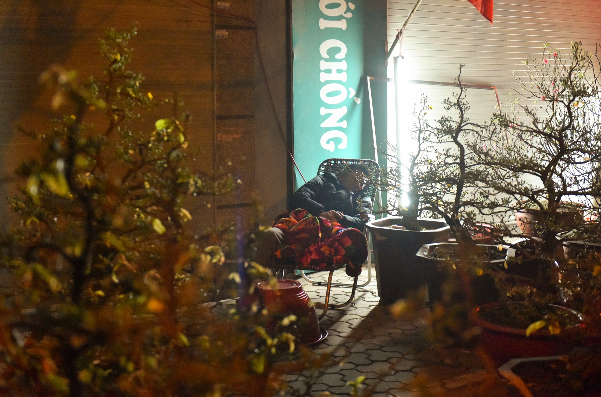 Trang dem trong dao anh 4