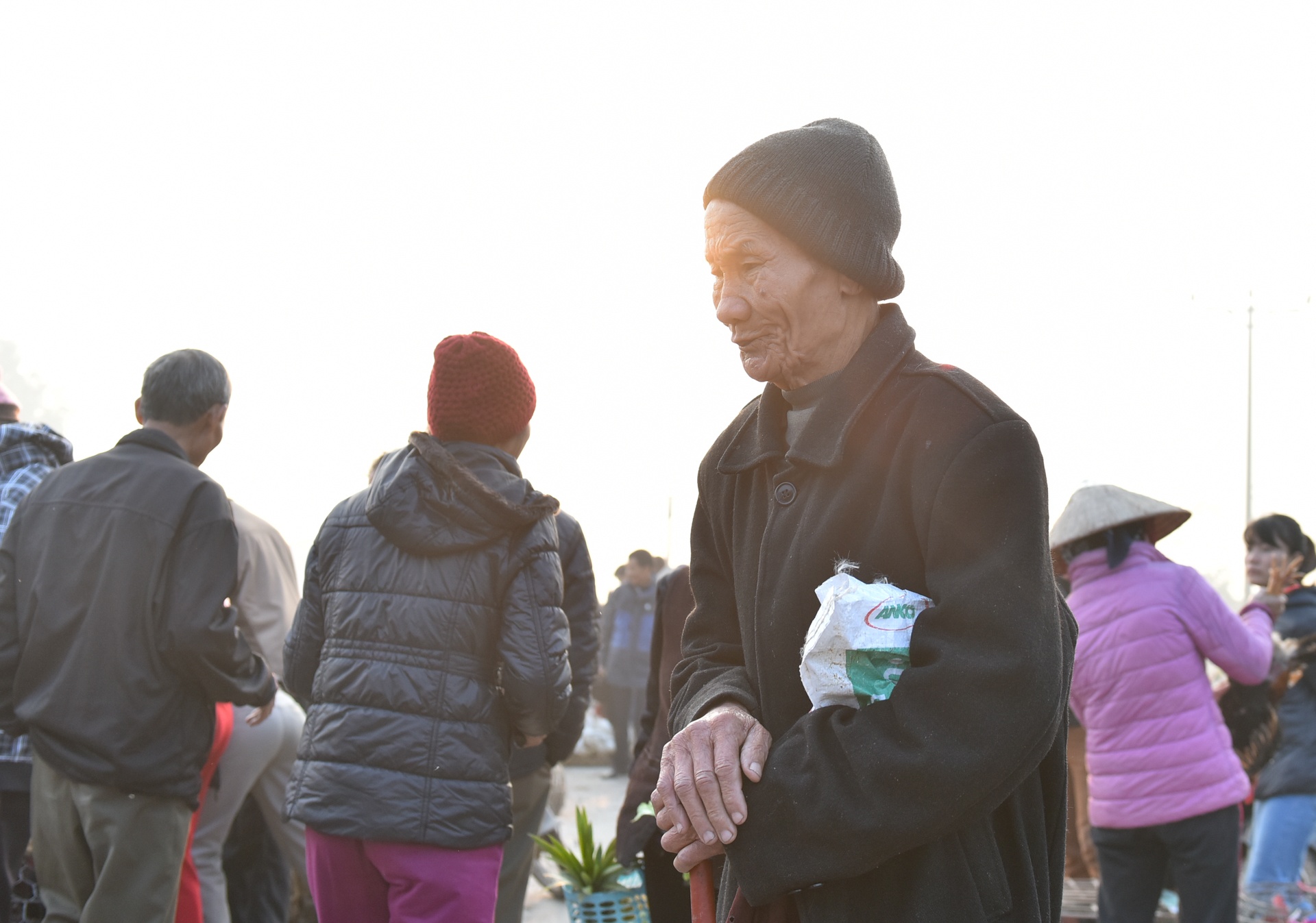 Cho que Thanh Mai anh 14