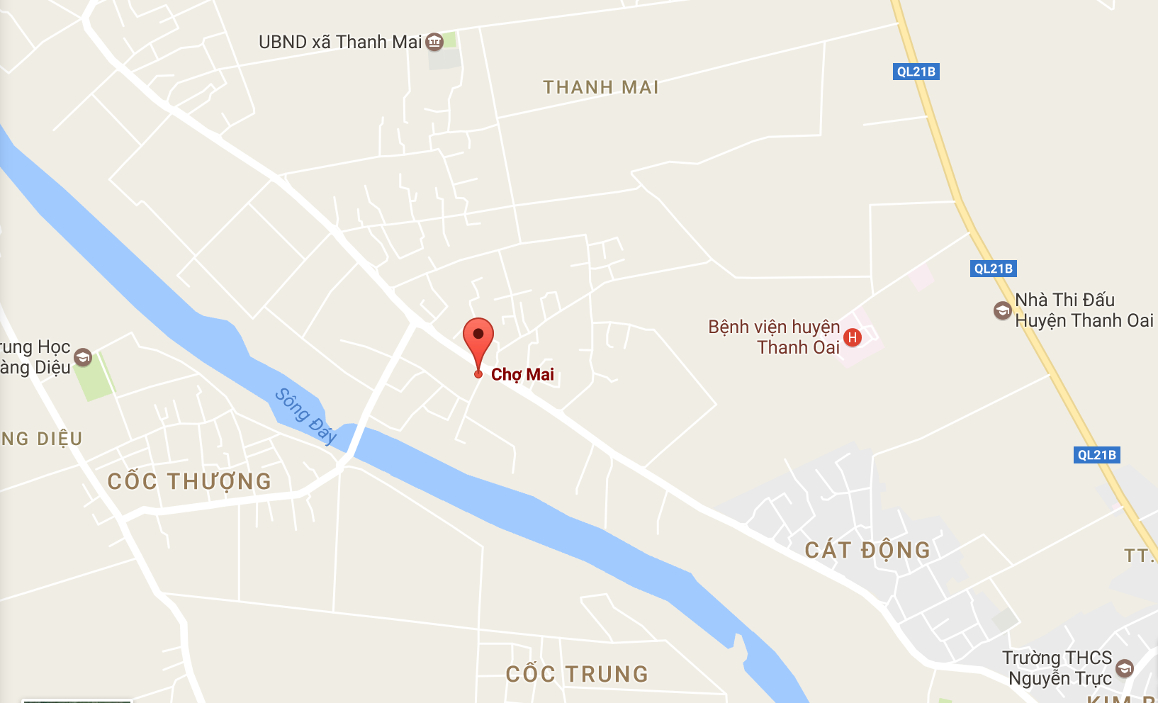 Cho que Thanh Mai anh 15