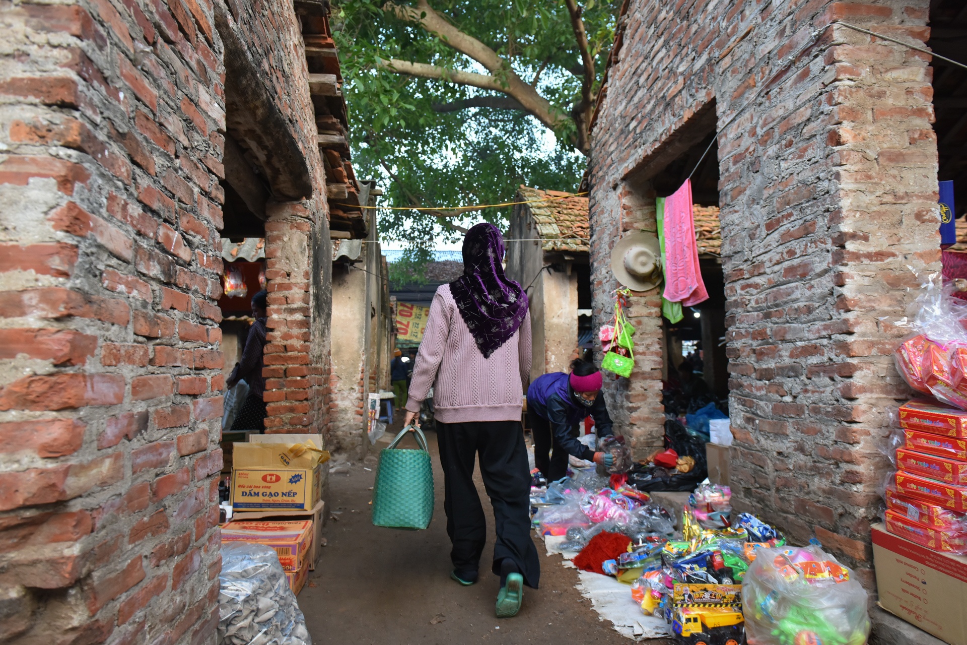 Cho que Thanh Mai anh 1