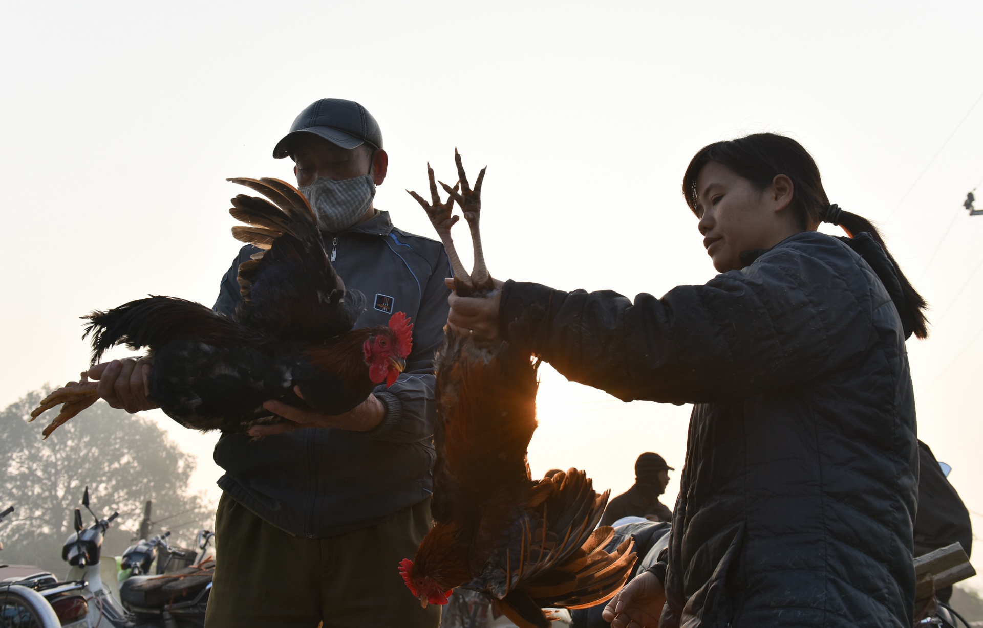 Cho que Thanh Mai anh 4