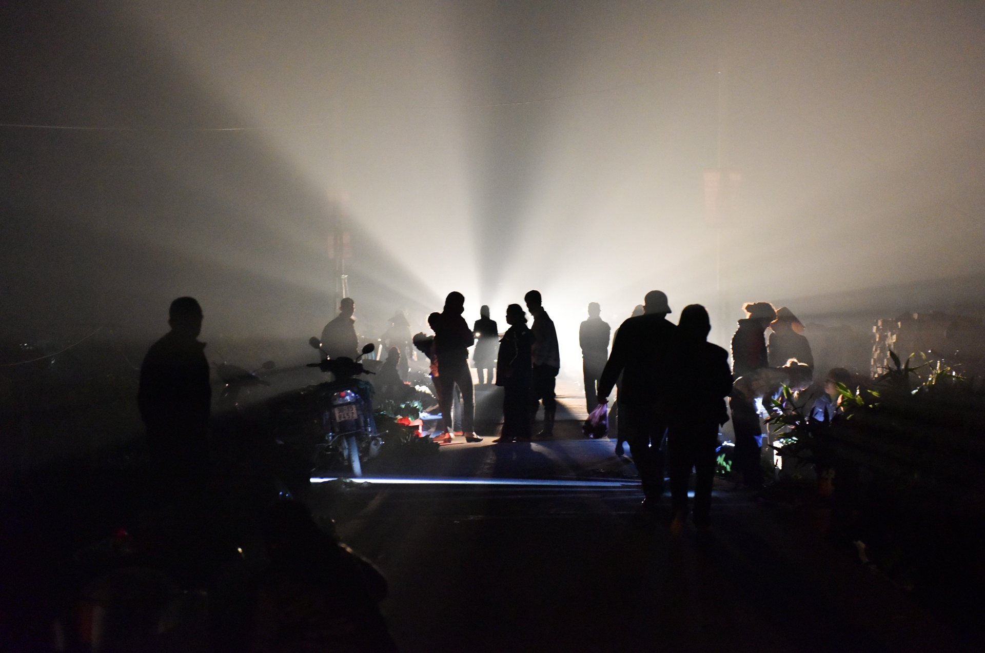 Cho que Thanh Mai anh 5