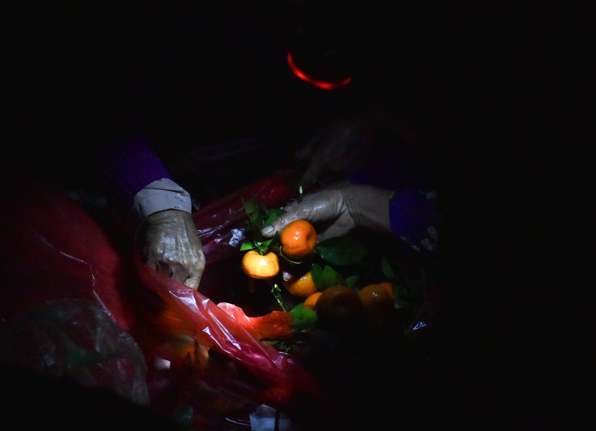 Cho que Thanh Mai anh 6