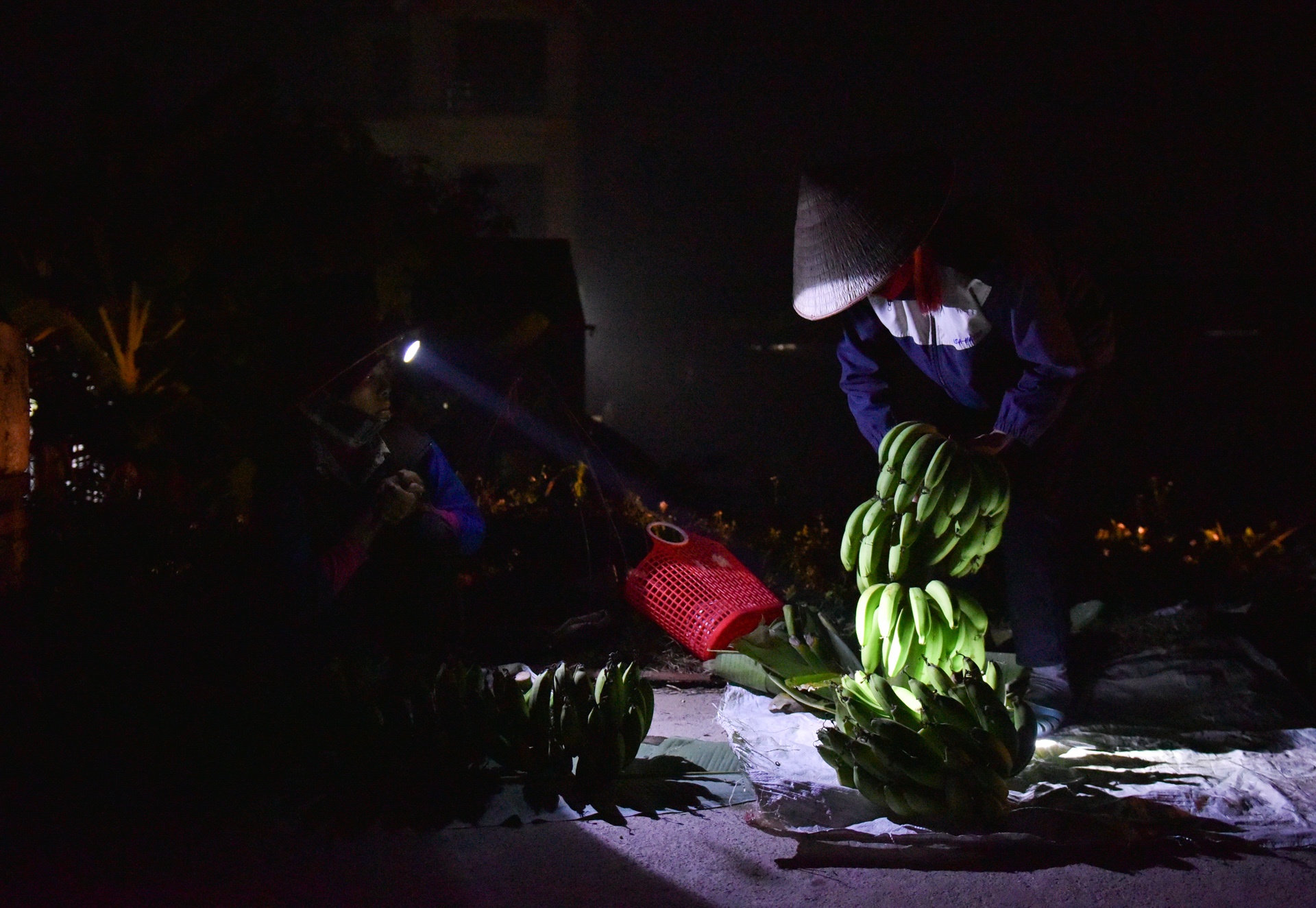 Cho que Thanh Mai anh 8