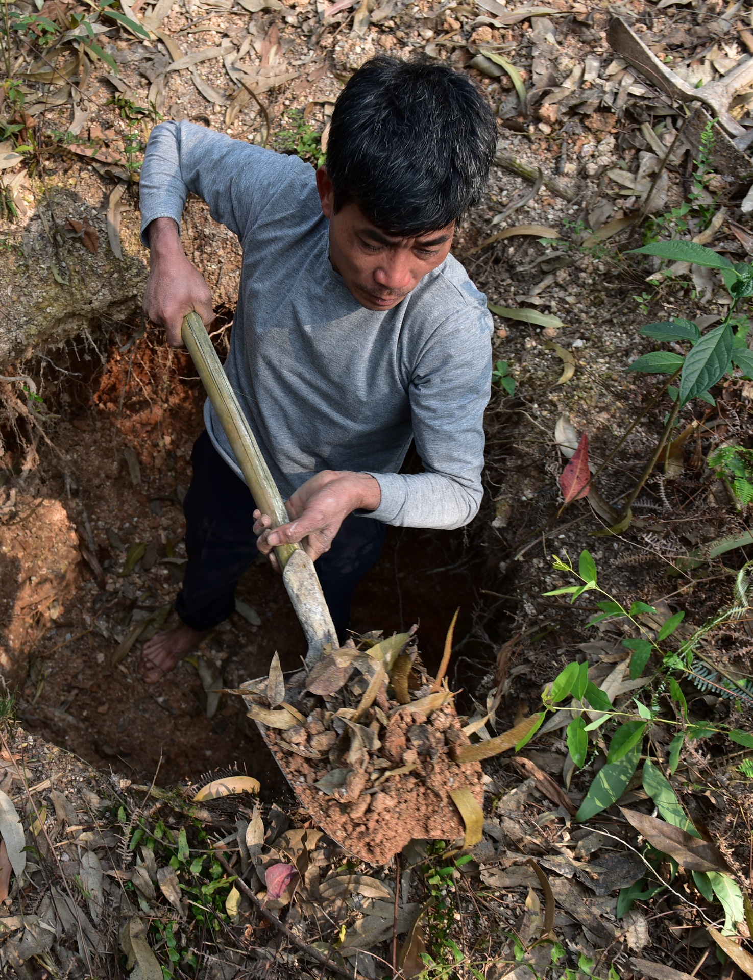 Nhung nguoi an dat anh 2