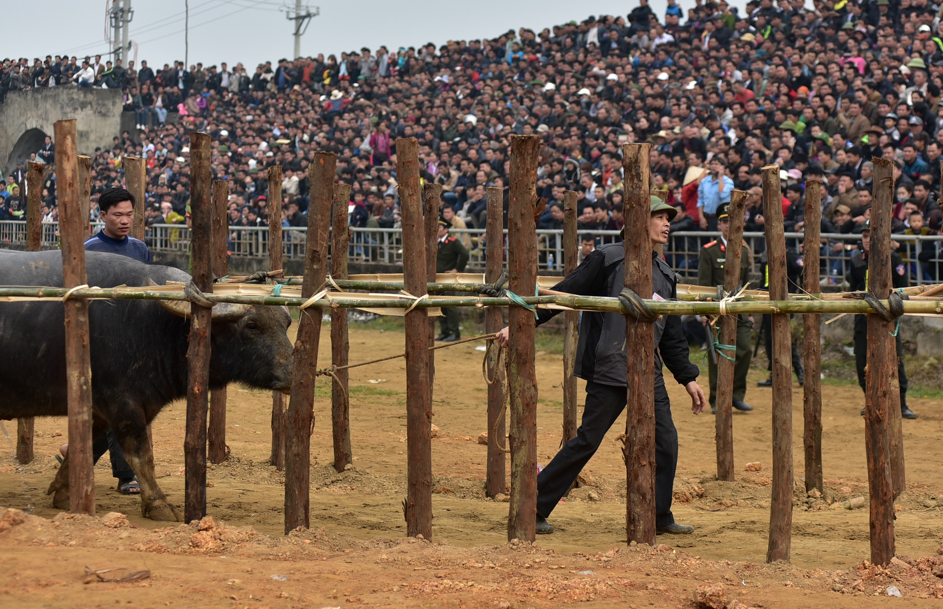 dung may xuc keo trau thua tran anh 10