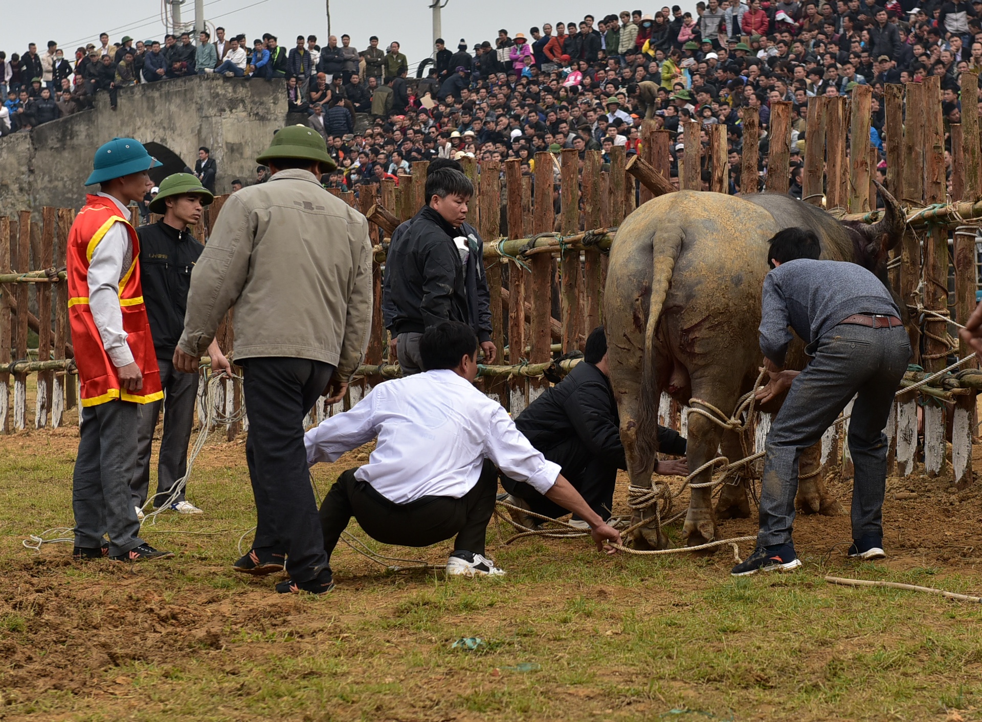 dung may xuc keo trau thua tran anh 11