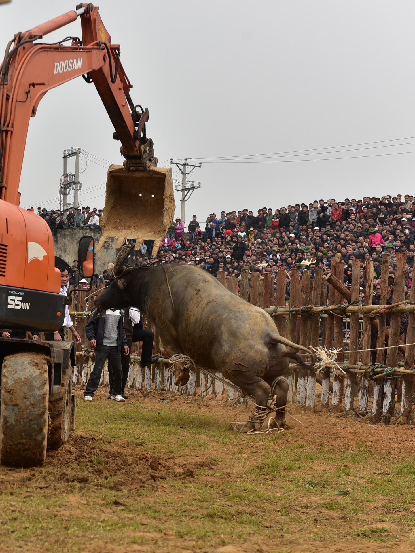 dung may xuc keo trau thua tran anh 13