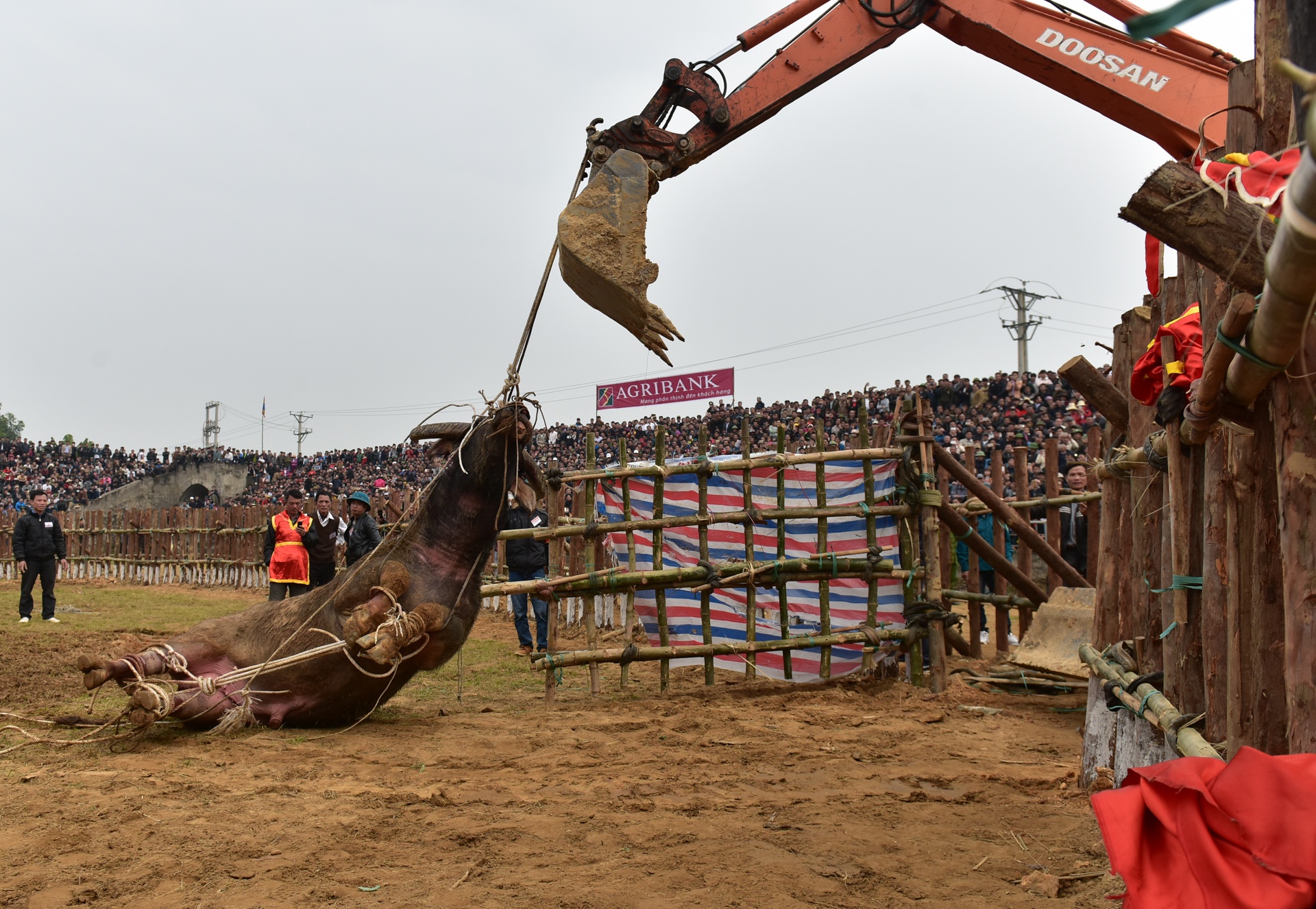 dung may xuc keo trau thua tran anh 14