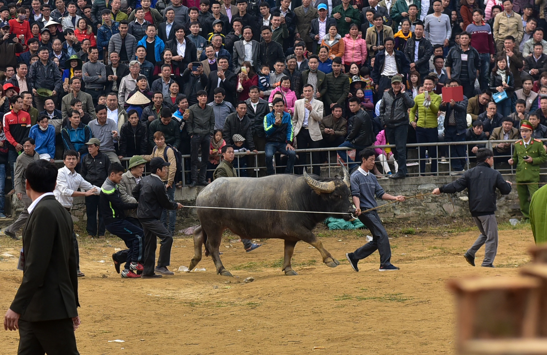 dung may xuc keo trau thua tran anh 3