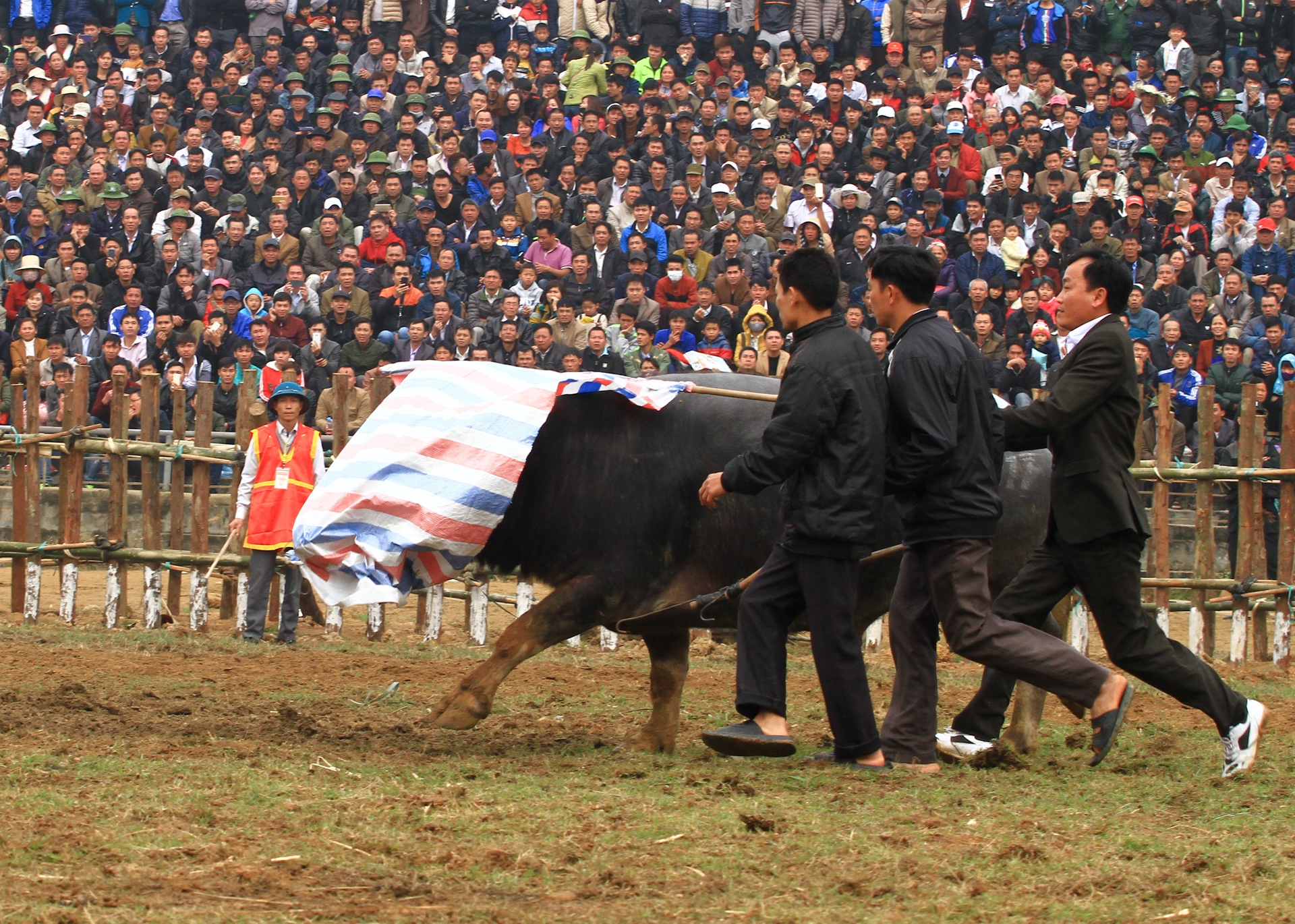 dung may xuc keo trau thua tran anh 9