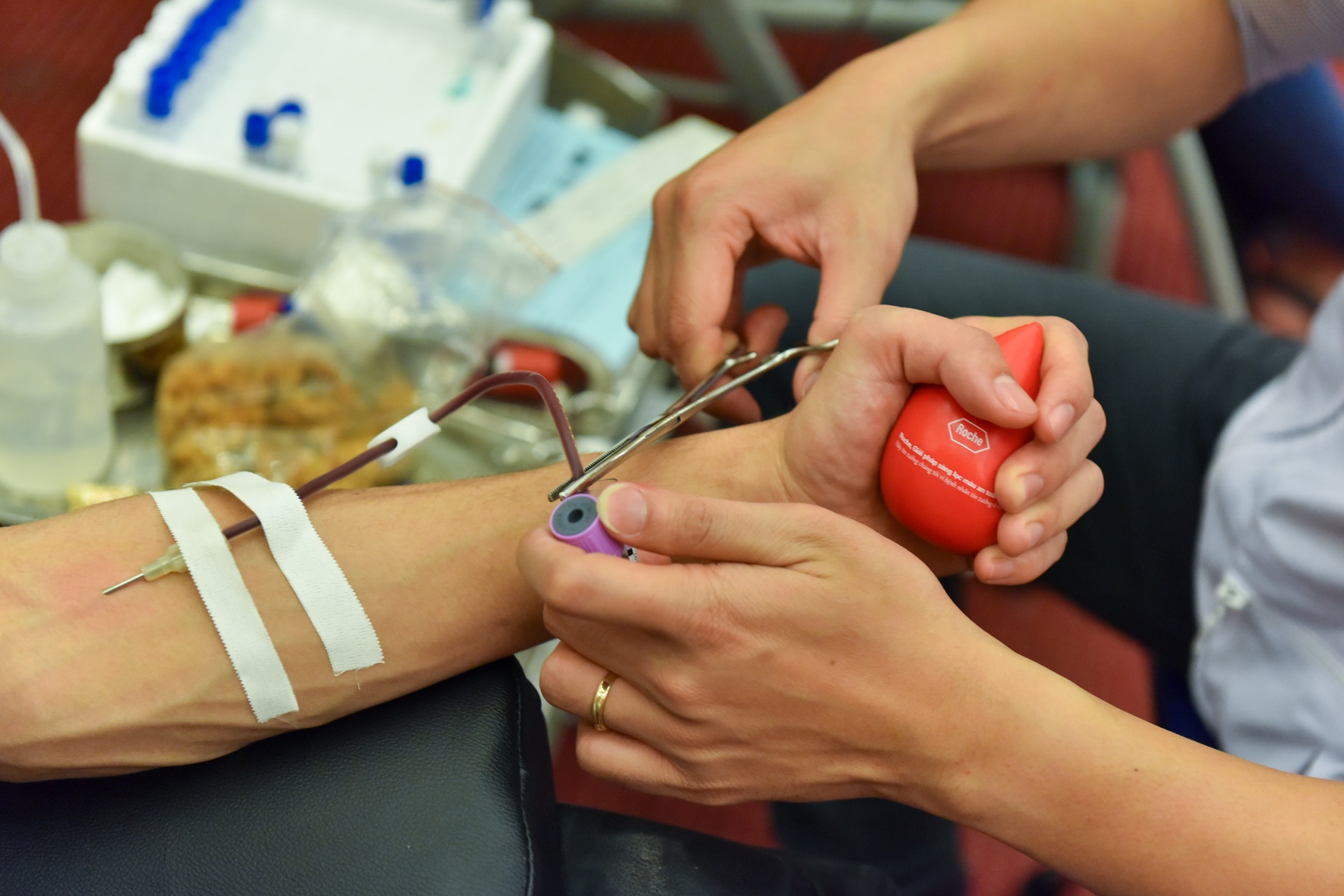 Le hoi xuan hong 2017 anh 8