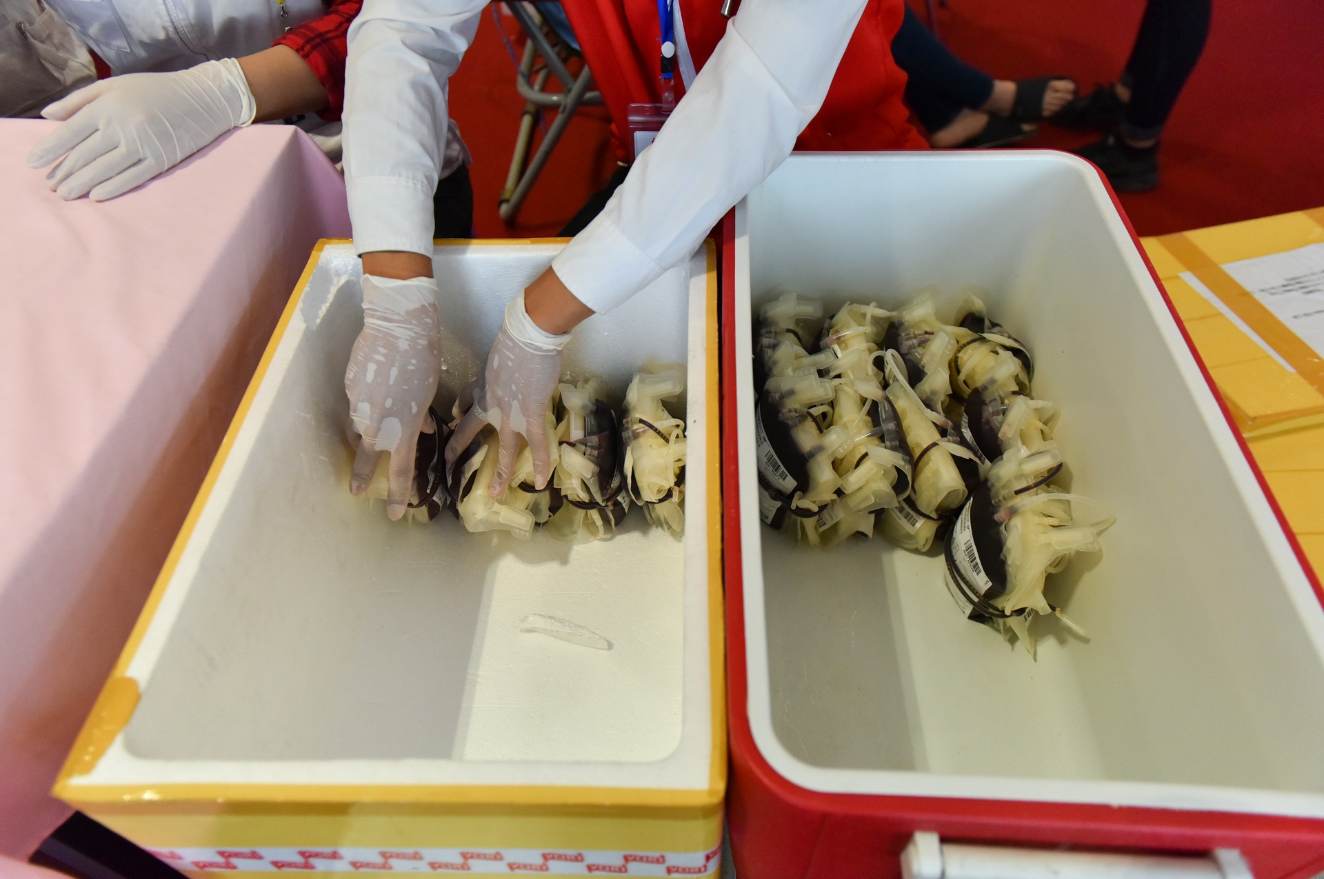 Le hoi xuan hong 2017 anh 9