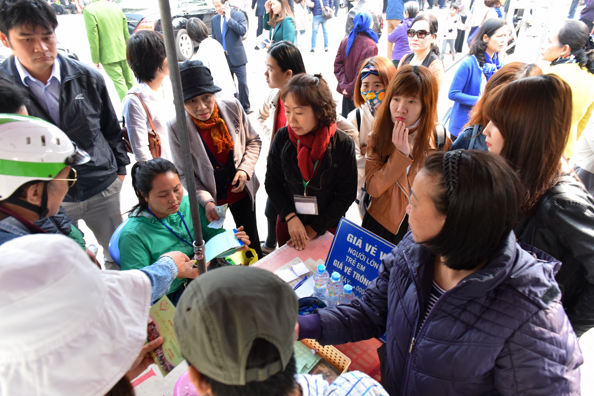 le hoi hoa hong anh 10