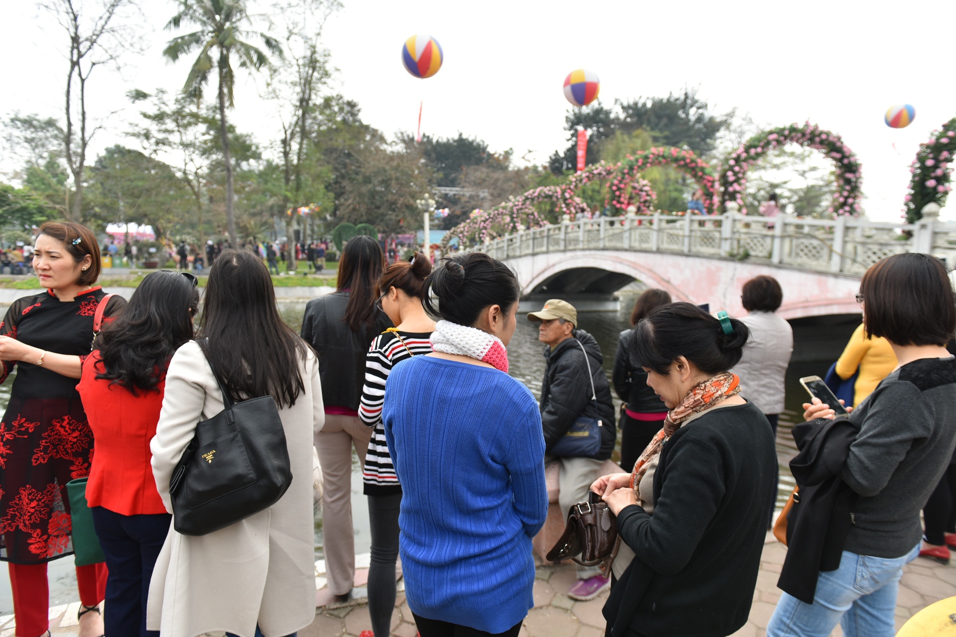 le hoi hoa hong anh 11