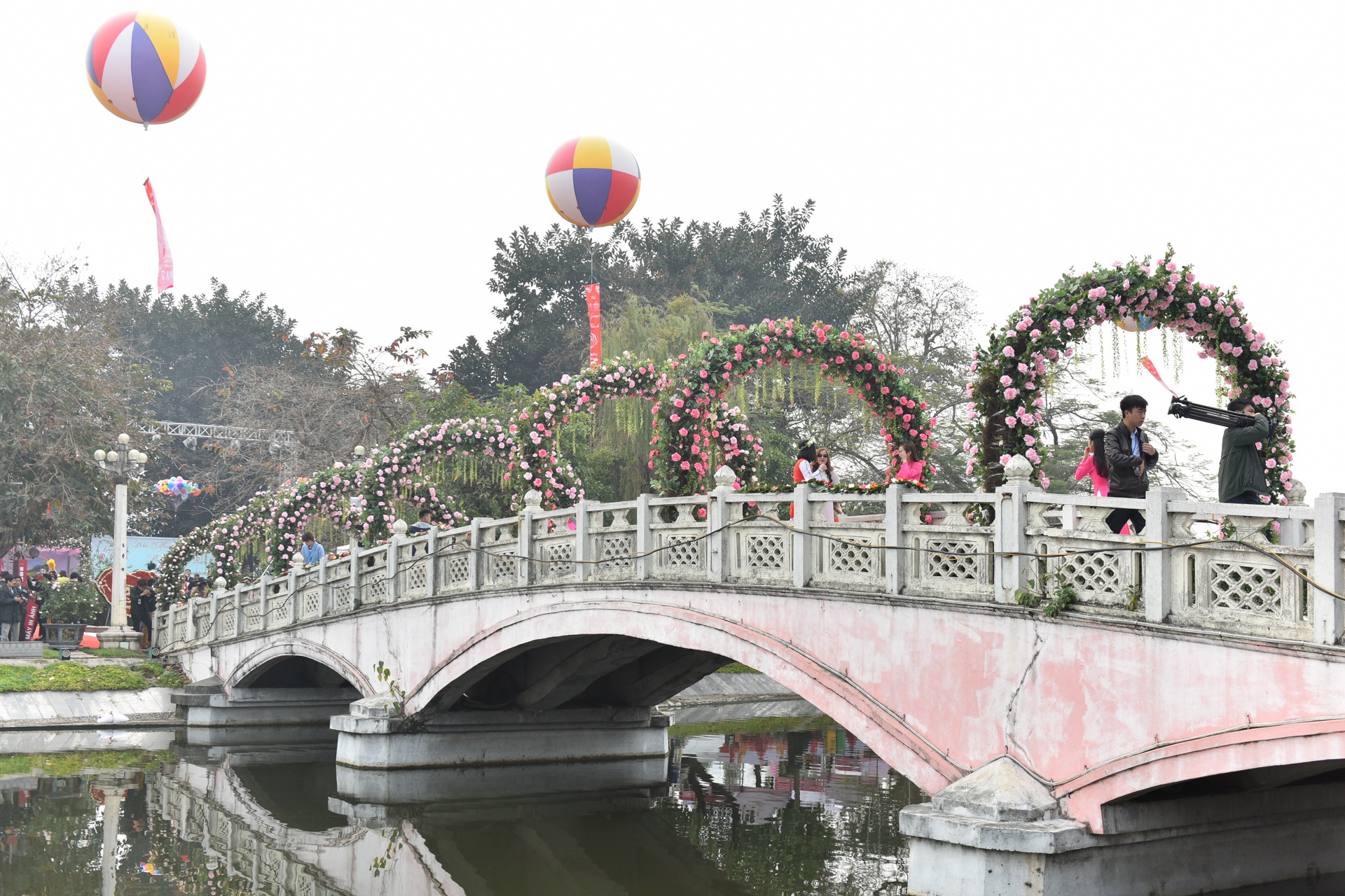 le hoi hoa hong anh 1