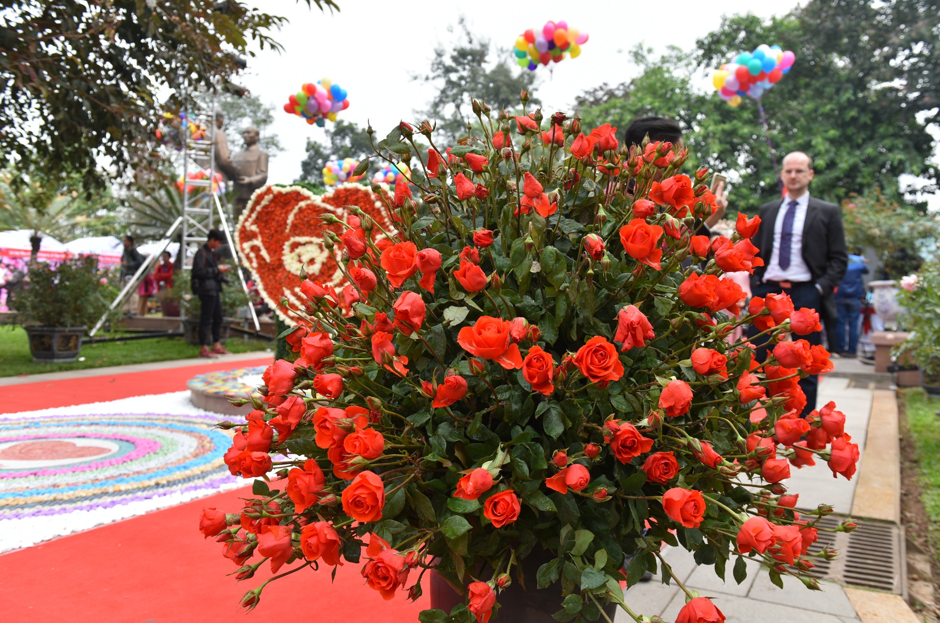 le hoi hoa hong anh 3