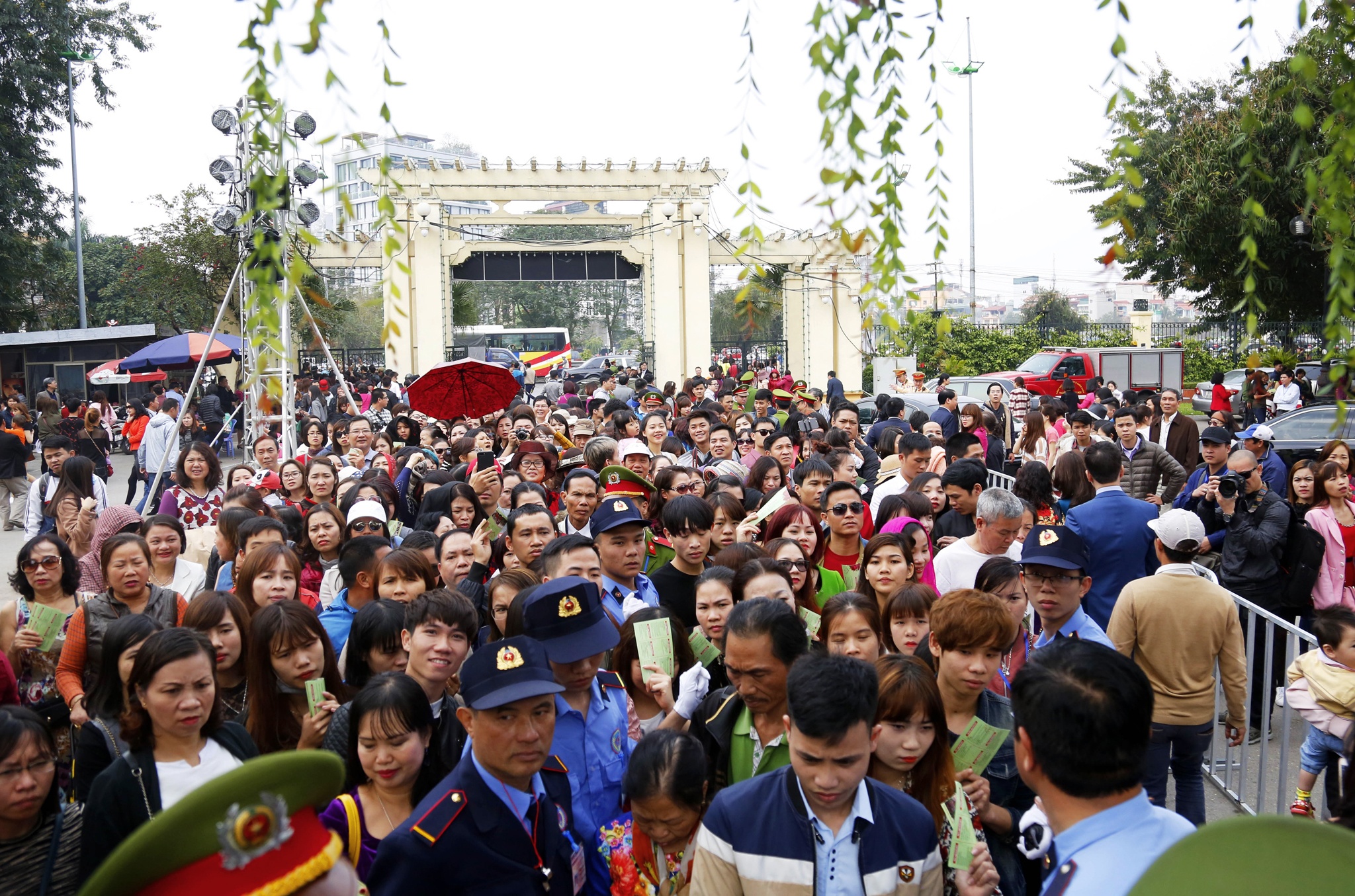 le hoi hoa hong anh 12