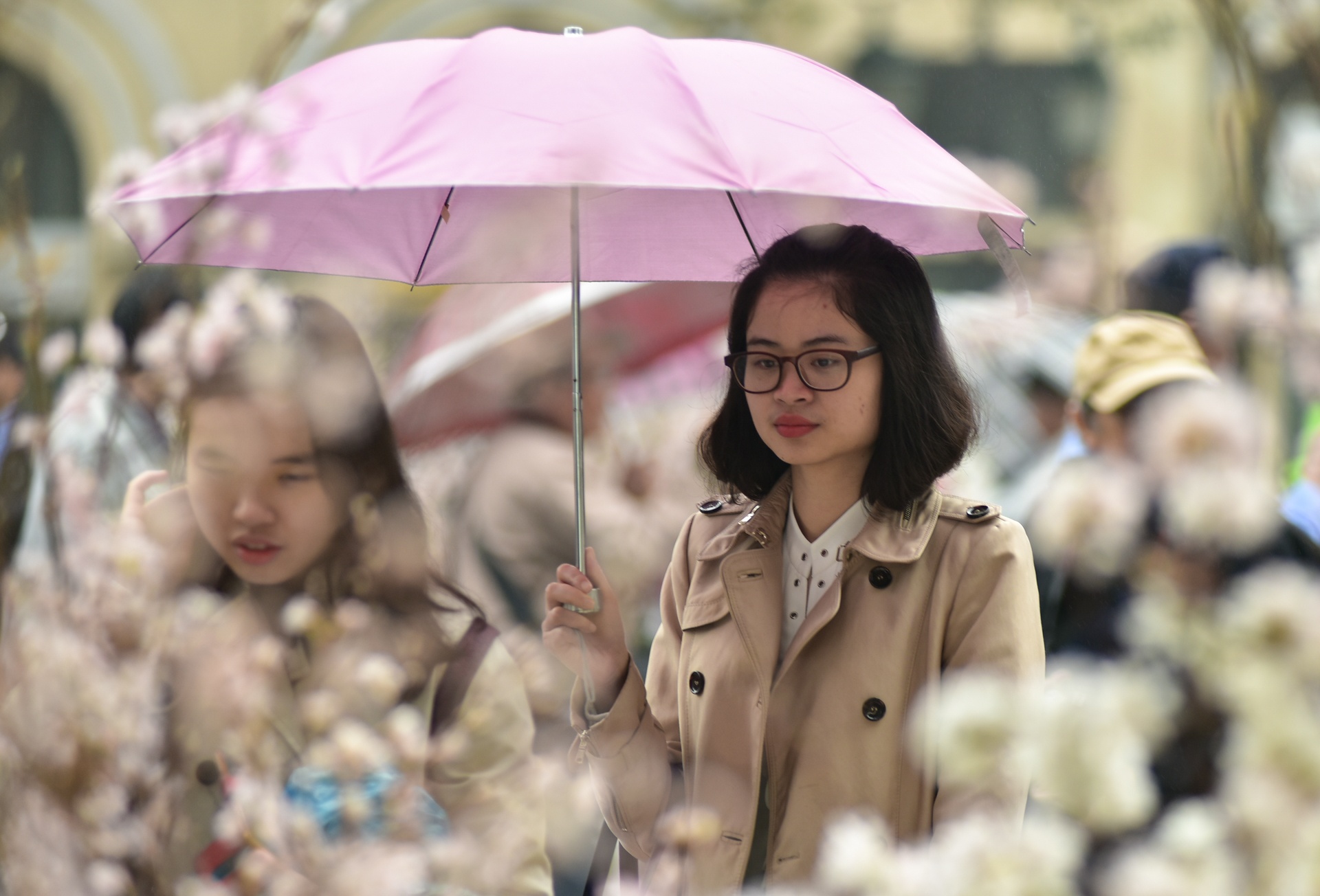 Le hoi hoa anh dao 2017 anh 5