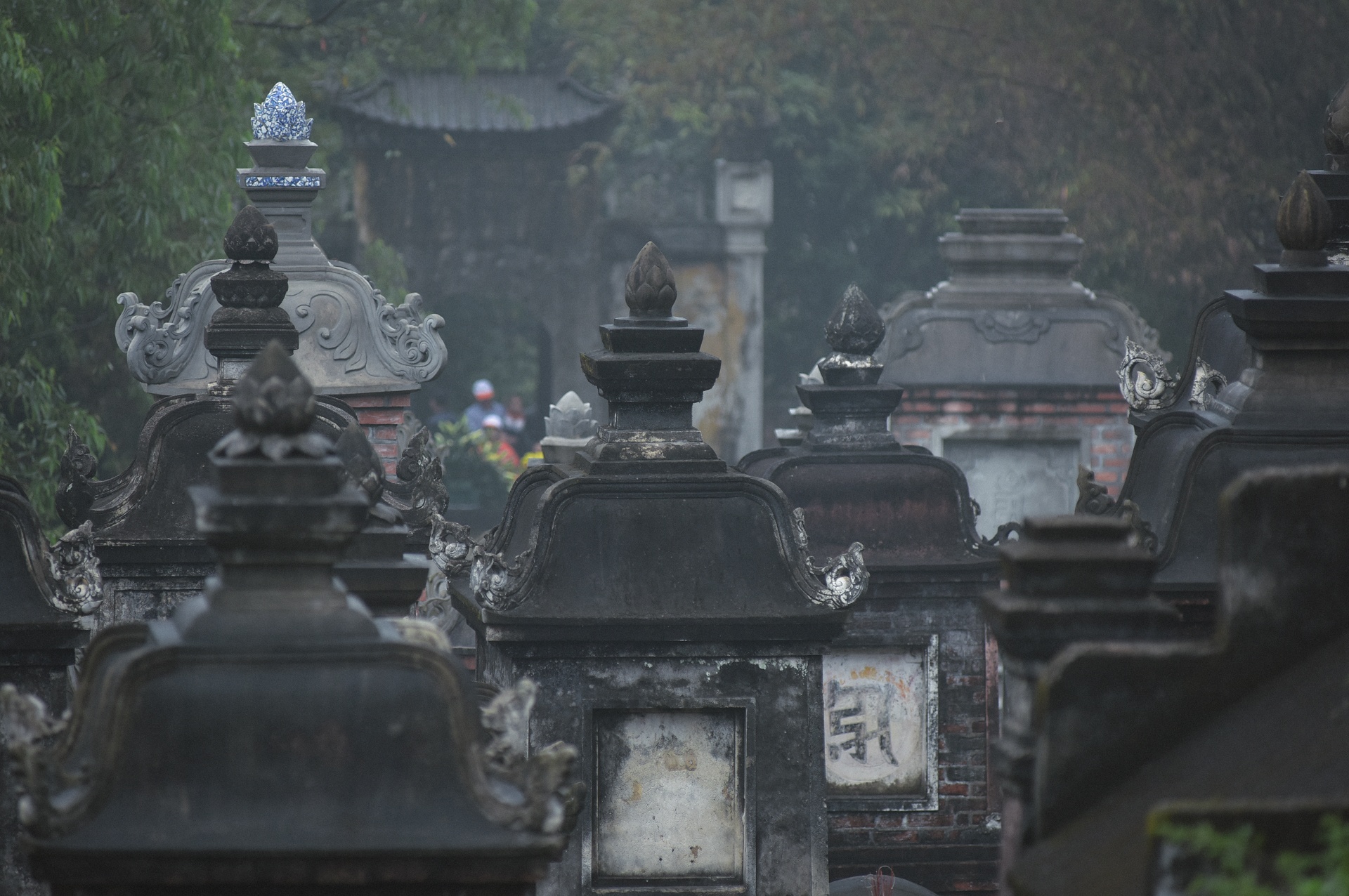 vuon thap lon nhat Viet Nam anh 6