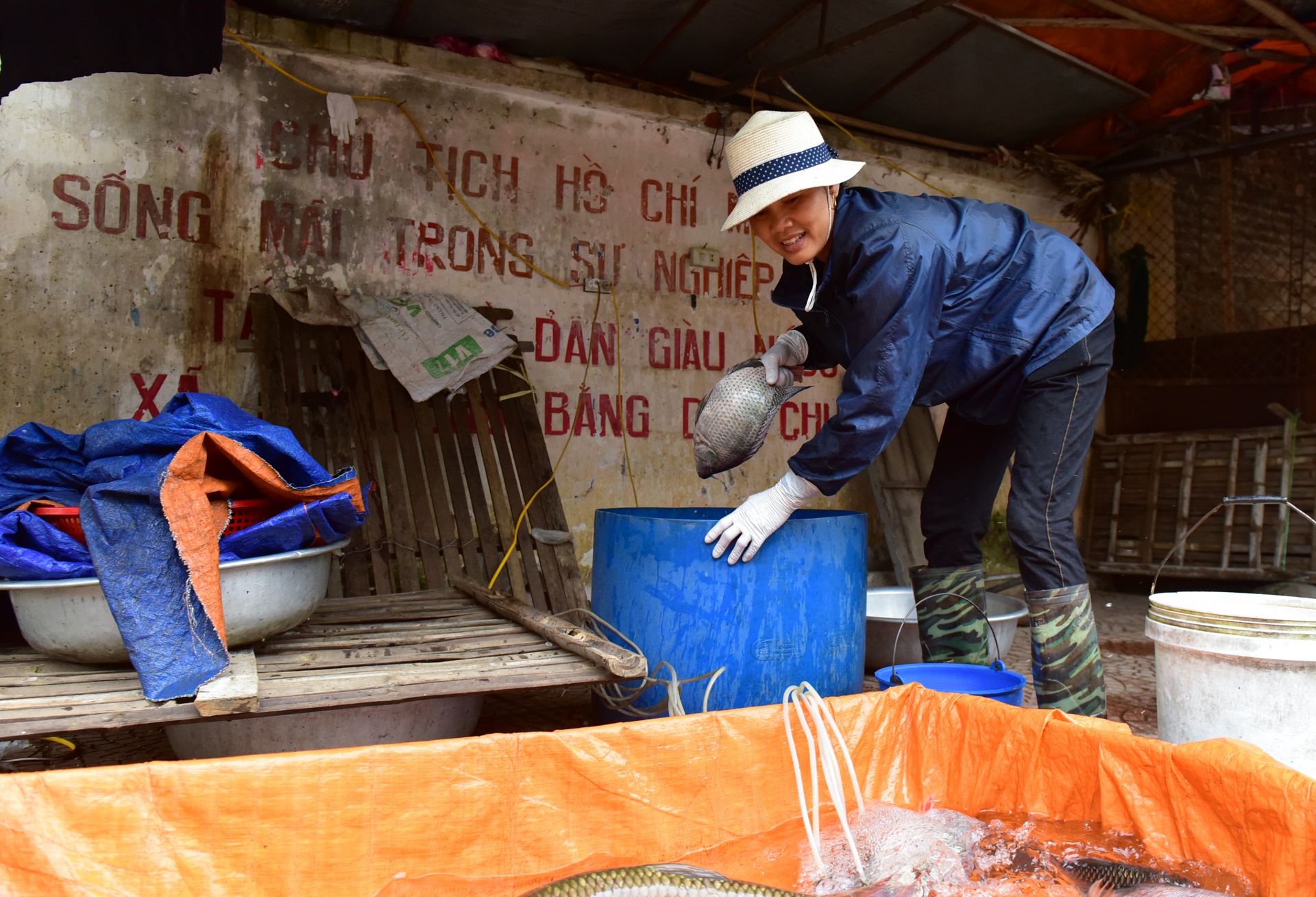 cuoc song o Dong Tam anh 10