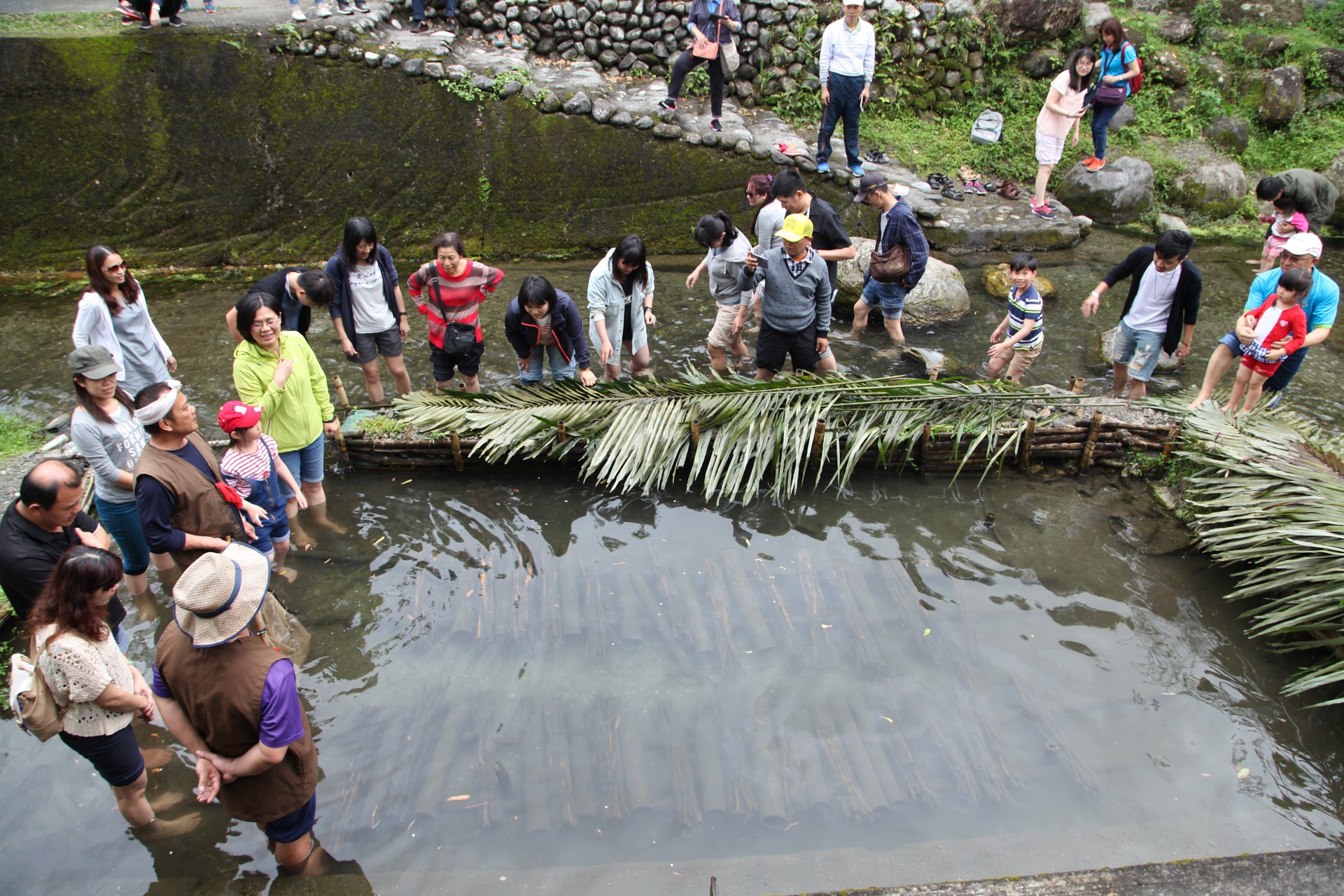 que huong cua tho dan Dai Loan anh 5