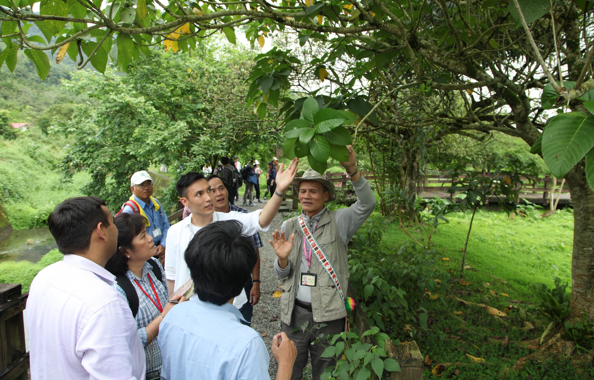 que huong cua tho dan Dai Loan anh 6