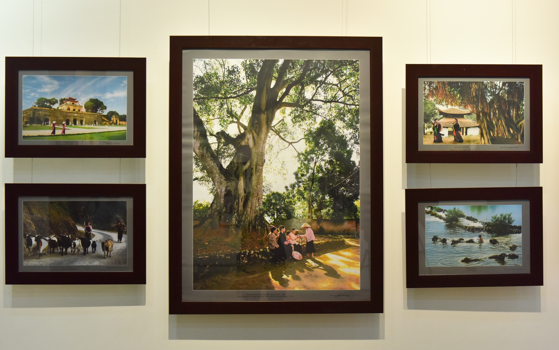 Bao tang Nhiep anh Lai Xa anh 10